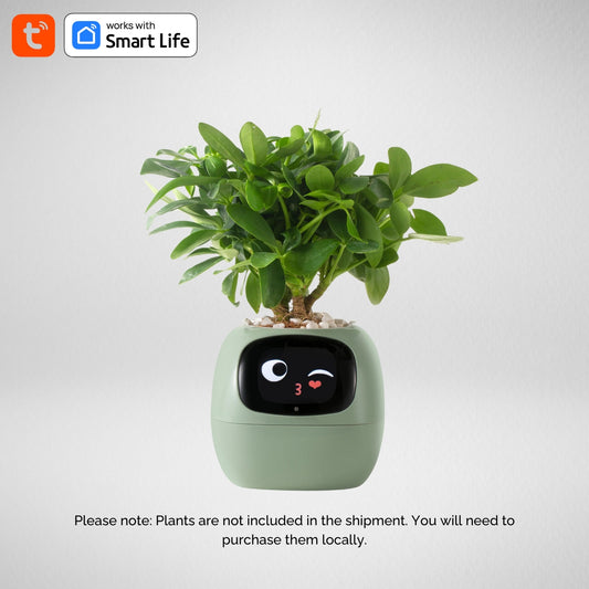 NuePlant™ - The Smart Way to Nurture Your Plants.